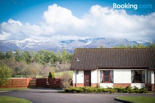 一卧室平房-宠物友好