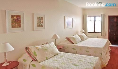 标准双人或双床房