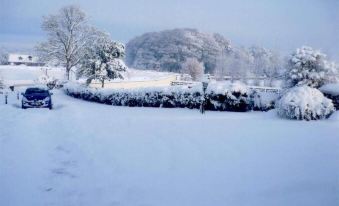 Armcashel B&B