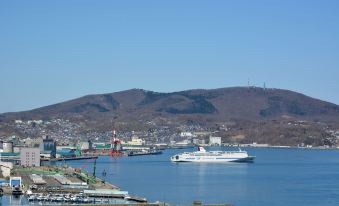 a large cruise ship docked at a pier in a harbor , surrounded by mountains and water at Authent Hotel Otaru