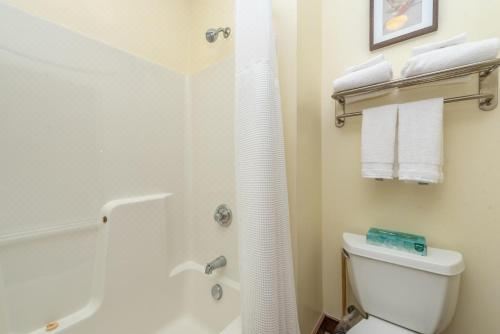 一卧室一室公寓