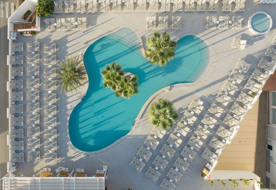 a large outdoor pool surrounded by lounge chairs and umbrellas , with palm trees in the background at Cala Bona