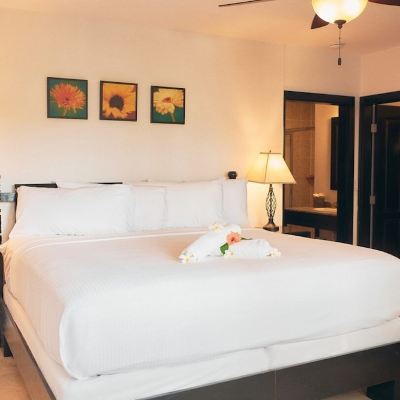 Deluxe Studio Las Terrazas Resort Promo Code