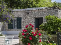 Villa Doris Hotels in Zaton
