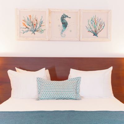 One-Bedroom Apartment With Pool View Presidential Suites Cabarete Promo Code