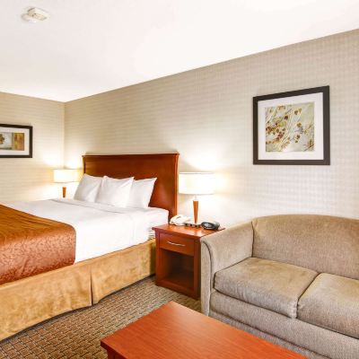 Standard King Room With Sofa Bed-Non-Smoking Quality Inn - Kitchener Promo Code