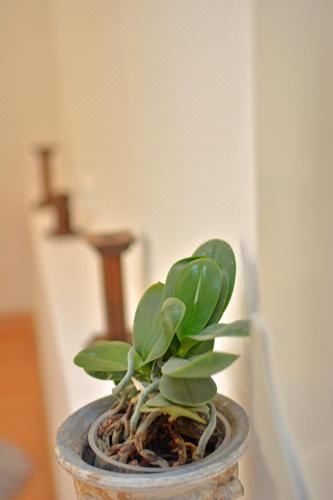 双人房（带独立浴室）