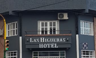 Hotel las Higueras Salta