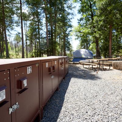 Accessible Family Resort Glamping Evergreen Lodge at Yosemite Promo Code