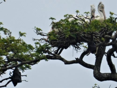 带湖景的双人间
