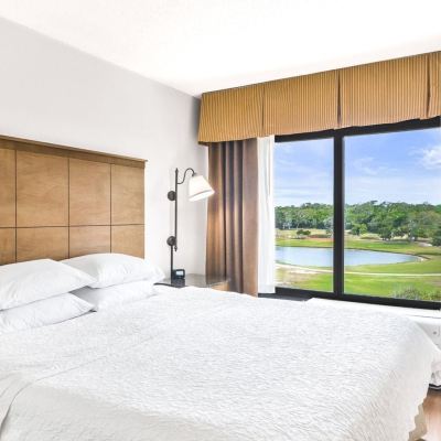 King Studio Suite Hotel Alice Promo Code