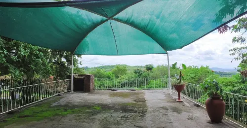 Impala Niezel Lodge & Guest House