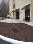 Comfort Suites-Youngstown North Hotels in 