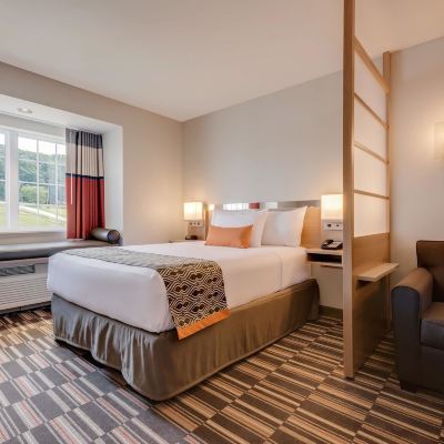 1 Queen Bed, Mobility Accessible Studio Suite, Non-Smoking Microtel Inn & Suites by Wyndham Clarion Promo Code