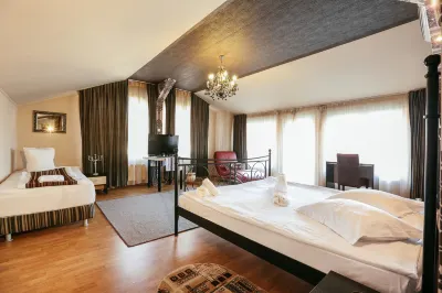 Pensiunea Vidalis Hotels in 