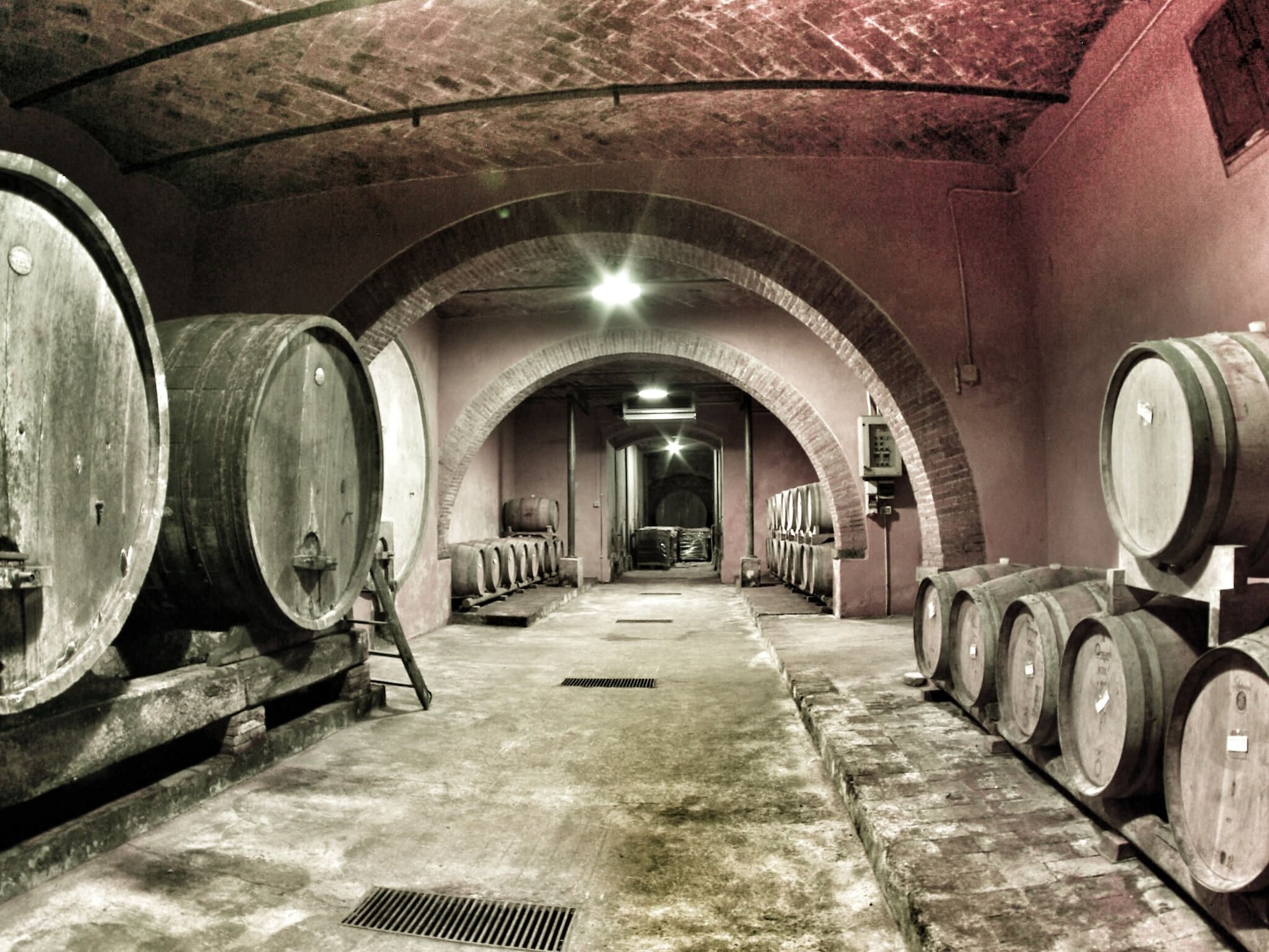 1卧室公寓 - 带庭院 - 可吸烟