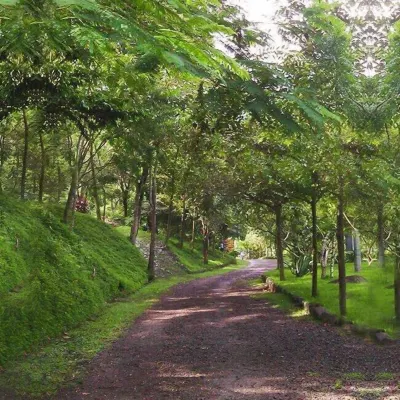 Glamping Furesa Experience - Hostel Hotel di 