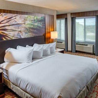 Family Suite with King Beds and Two Bunk Beds DoubleTree by Hilton Appleton Promo Code