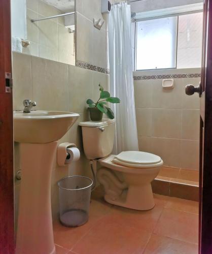 三人房（带独立浴室）