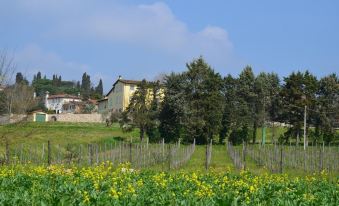 Agriturismo Al Podere di Rosa