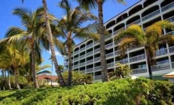 Lahaina Shores #425 - Studio Condo by RedAwning