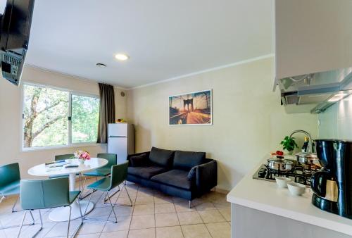 高级两卧室公寓