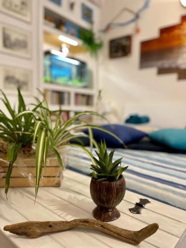 双人房（带独立浴室）