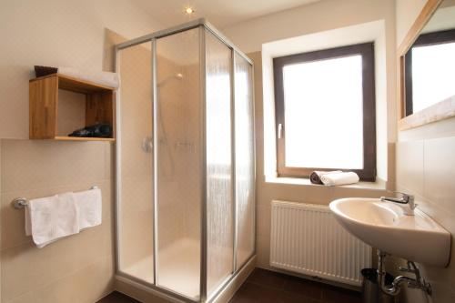 大型一卧室公寓 - 带阳台