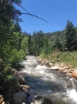 Creekside cabin