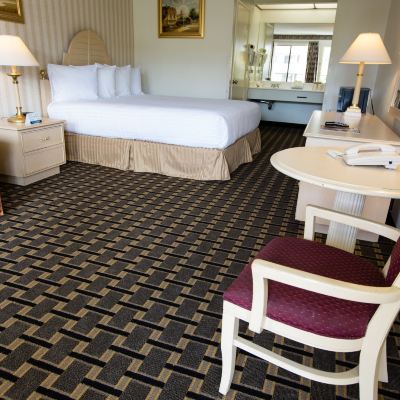 Standard King Room-Non-Smoking Anaheim Carriage Inn Promo Code