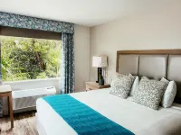 Bayside Inn Key Largo