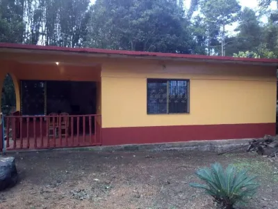 Nice House Natural Ξενοδοχεία στην πόλη 
