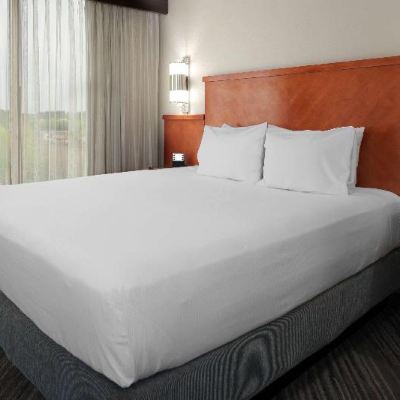 Specialty Guest Room With 1 King Bed Hyatt Place Lakeland Center Promo Code