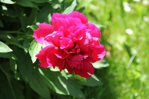 山景双人间 - 带阳台