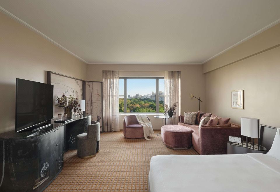 Park Lane New YorkPanoramic Park View King Studio Suite ADA With Tub Shower