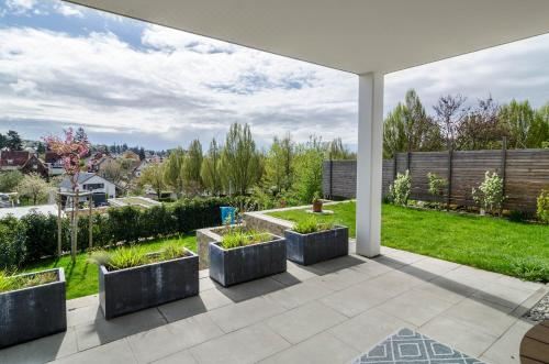 高级一卧室公寓