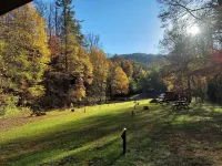 Black Bear Resort Hotele w: 