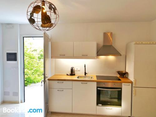 带园景一室公寓