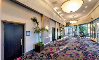a hotel lobby with a carpeted floor , a reception desk , and several potted plants lining the walls at Wyndham San Diego Bayside
