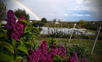 B&B Chez Annie - Housity