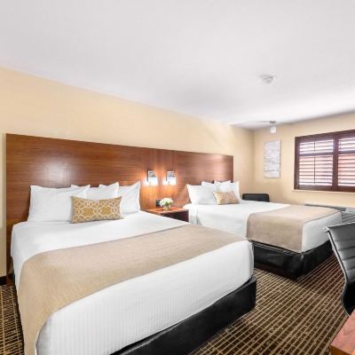 Deluxe Two Queen Room Ellis Island Casino Hotel and Brewery Promo Code