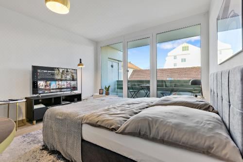 豪华一室公寓 - 带阳台