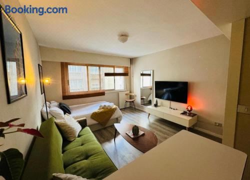 Loft Oten One-Bedroom Apartment