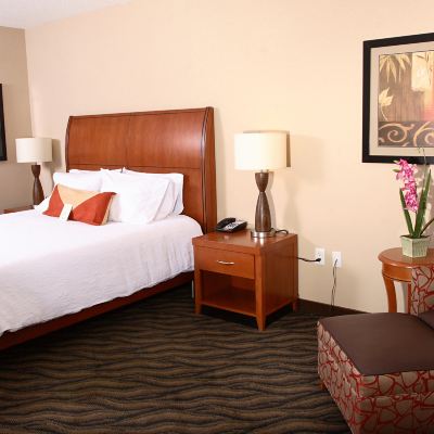 Premium King Room Hilton Garden Inn Chesapeake/Suffolk Promo Code
