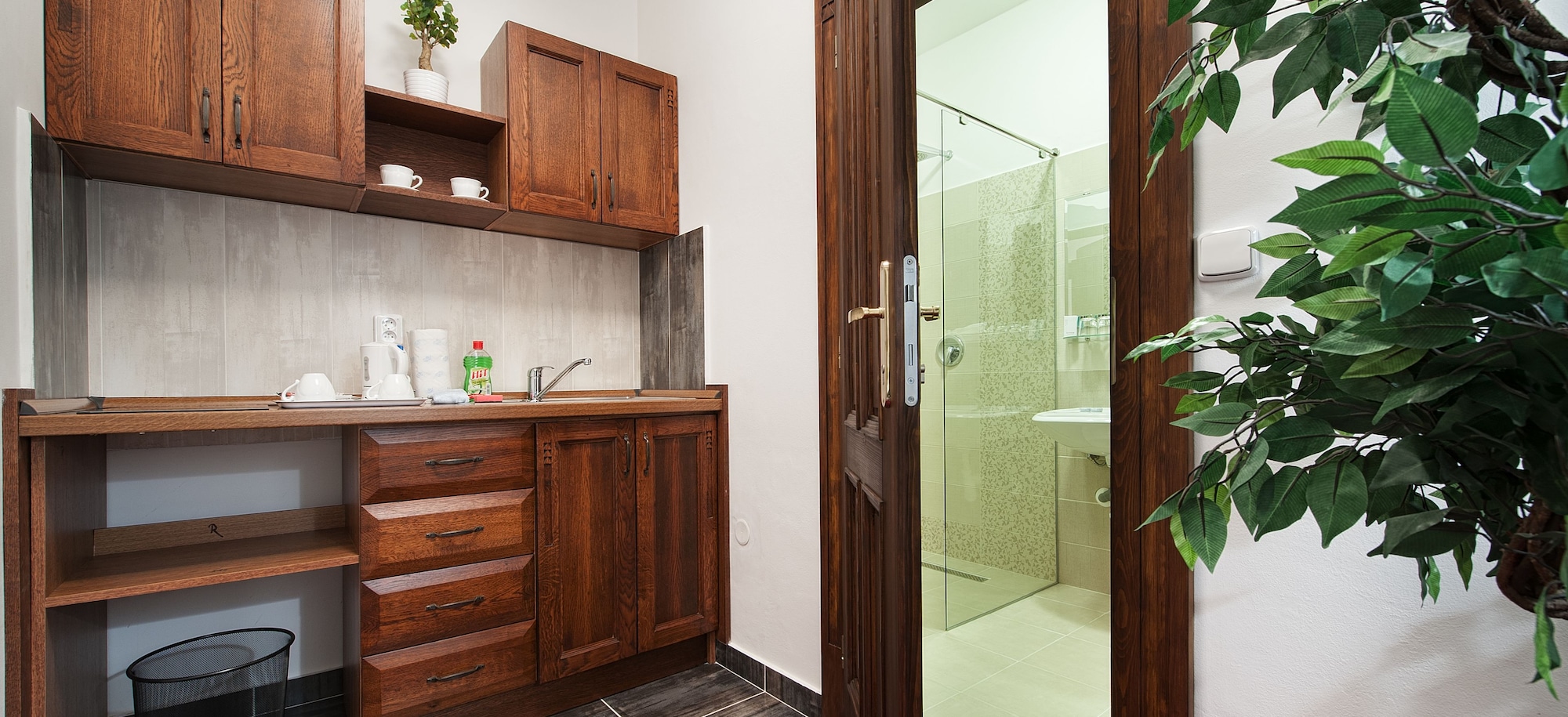 豪华公寓，带小厨房，行政楼层（行政楼层）