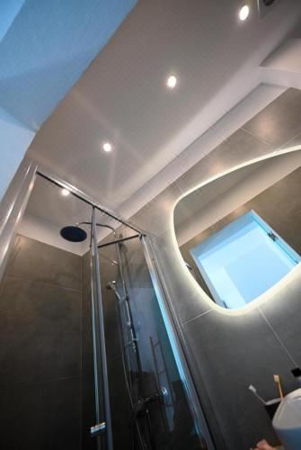 园景豪华双人或双床间