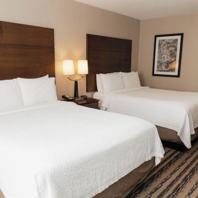 Double Room, 2 Double Beds, Non Smoking (No Pets) Colonial Hotel Promo Code