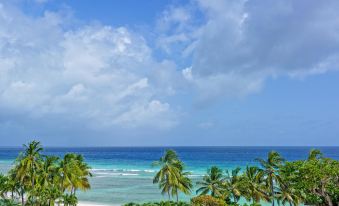 Coconut Court Beach Hotel