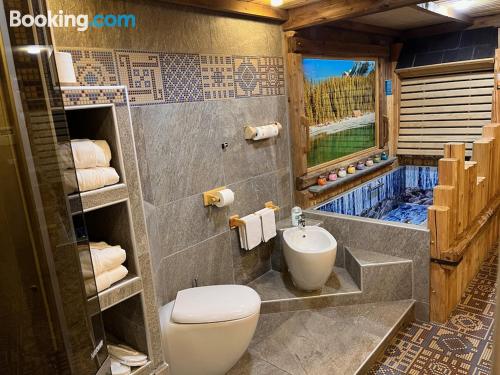 高级公寓（带桑拿浴室）