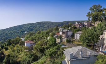 a picturesque village nestled on a hillside with houses and trees , surrounded by mountains and a clear blue sky at Hotel Petradi